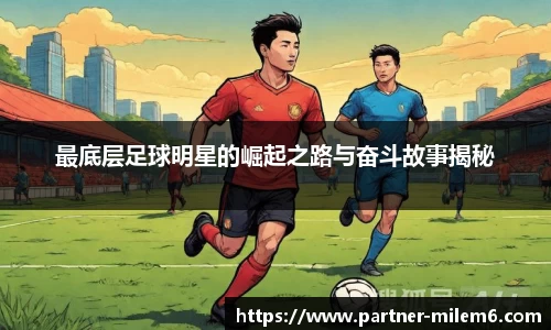 米乐m6官方网站